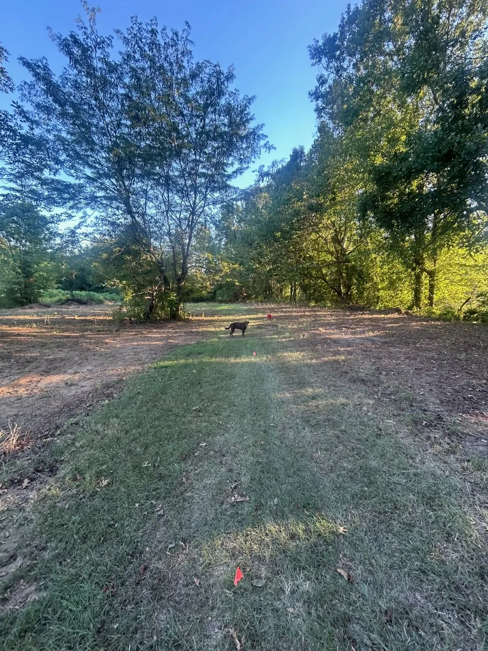 Mowed trail along the tree line toward the river