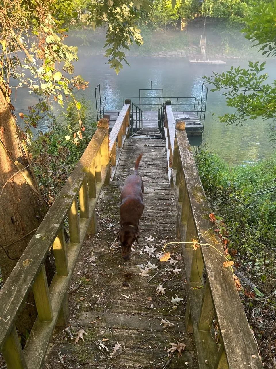 Wooden steps leading down to the river dock